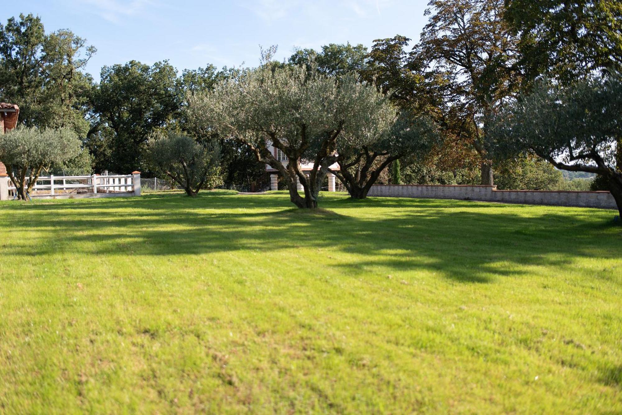 Petit Coin De Paradis Albigeois Castelnau-de-Lévis Dış mekan fotoğraf